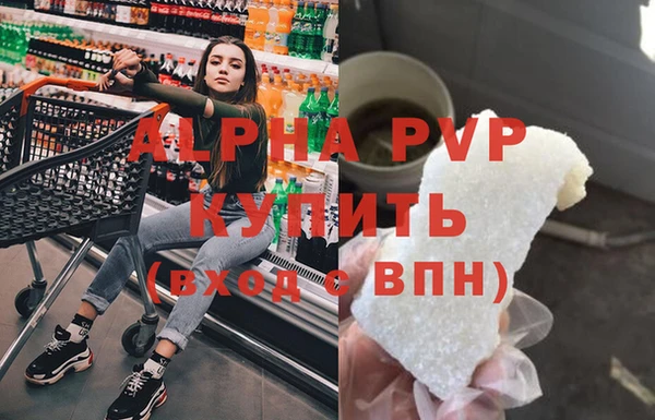 индика Медвежьегорск