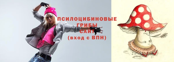кокс Арсеньев