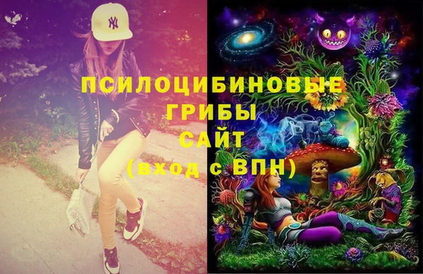 кокс Арсеньев