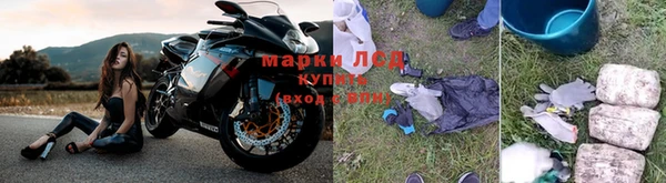 кокс Арсеньев