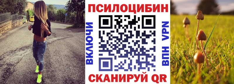 даркнет как зайти  Новая Ляля  Галлюциногенные грибы мухоморы  купить наркотики сайты 