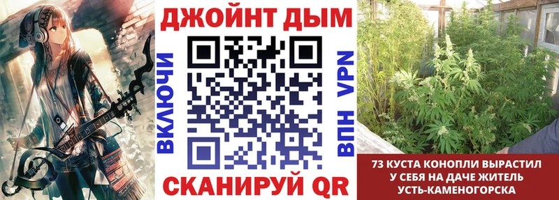 Конопля планчик  Новая Ляля 